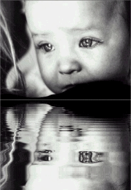 Trop belle image